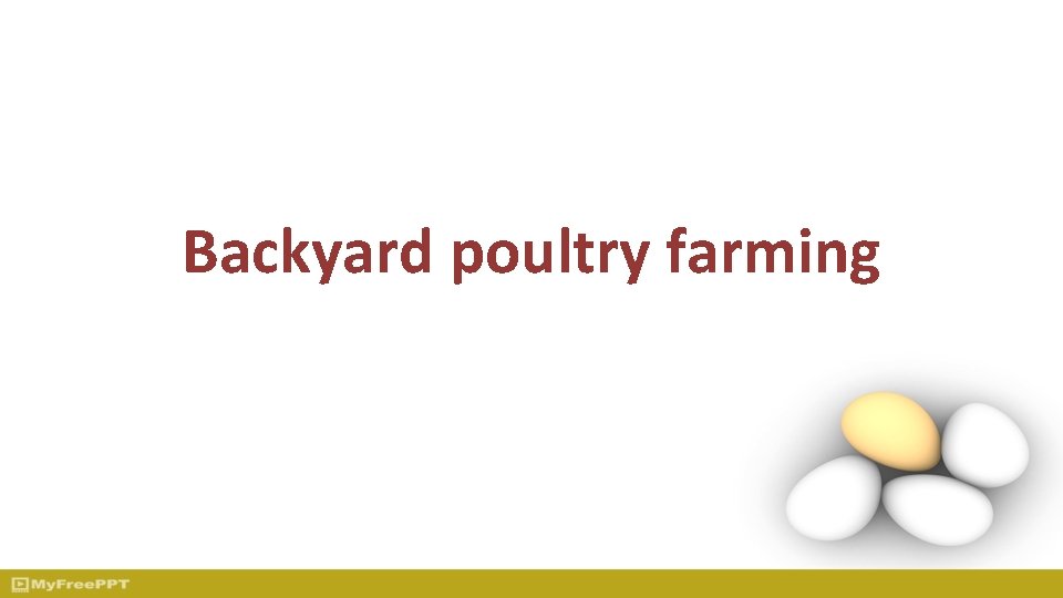 Backyard poultry farming 