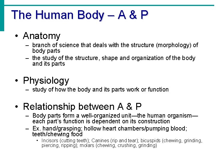The Human Body – A & P • Anatomy – branch of science that
