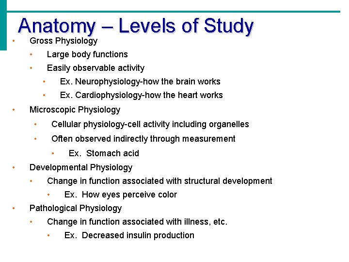 Anatomy – Levels of Study • Gross Physiology • • Large body functions •