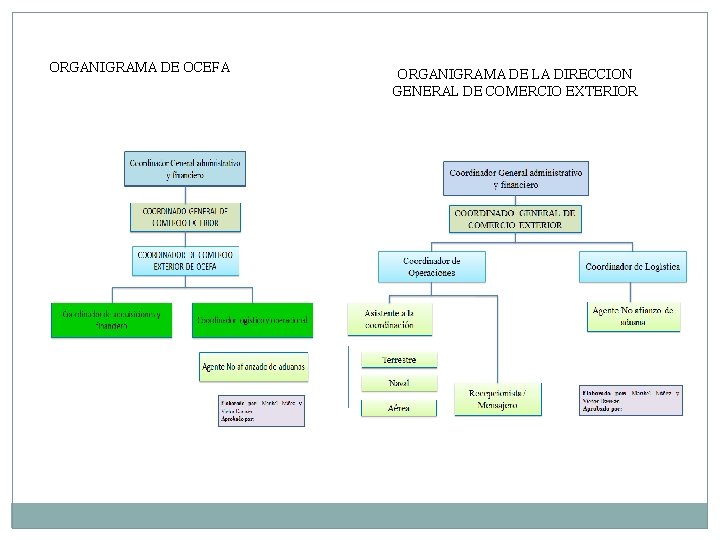 ORGANIGRAMA DE OCEFA ORGANIGRAMA DE LA DIRECCION GENERAL DE COMERCIO EXTERIOR 