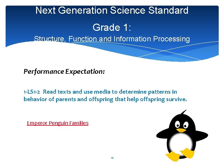 Next Generation Science Standard Grade 1: Structure, Function and Information Processing Performance Expectation: 1