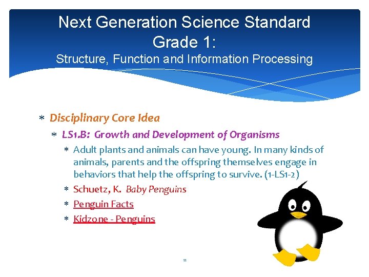 Next Generation Science Standard Grade 1: Structure, Function and Information Processing Disciplinary Core Idea