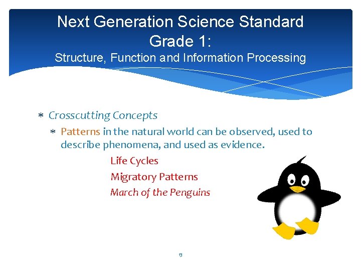 Next Generation Science Standard Grade 1: Structure, Function and Information Processing Crosscutting Concepts Patterns
