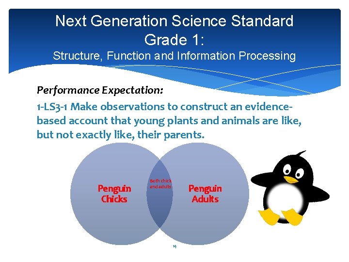 Next Generation Science Standard Grade 1: Structure, Function and Information Processing Performance Expectation: 1