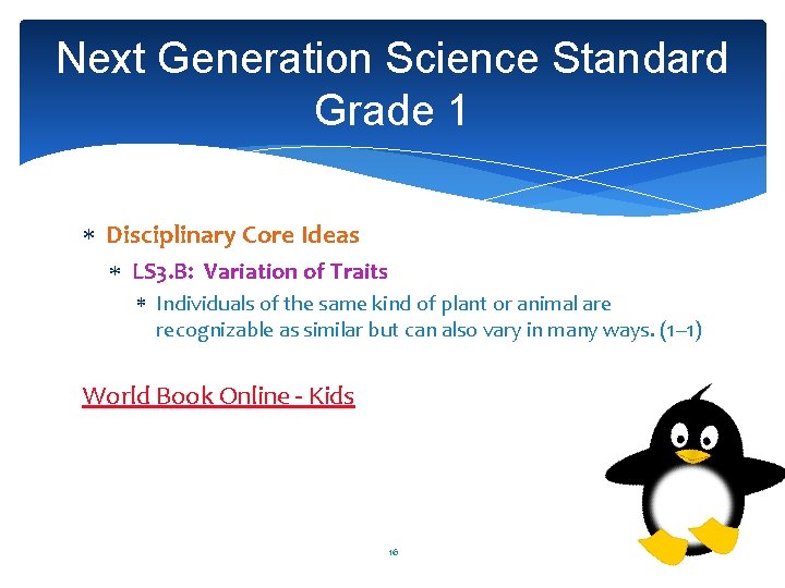 Next Generation Science Standard Grade 1 Disciplinary Core Ideas LS 3. B: Variation of