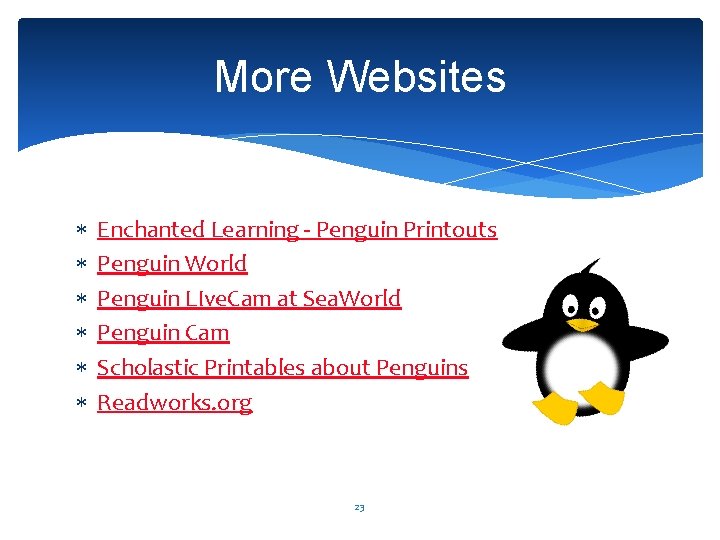 More Websites Enchanted Learning - Penguin Printouts Penguin World Penguin LIve. Cam at Sea.