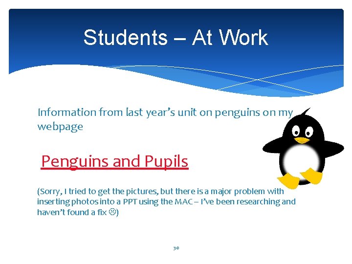 Students – At Work Information from last year’s unit on penguins on my webpage