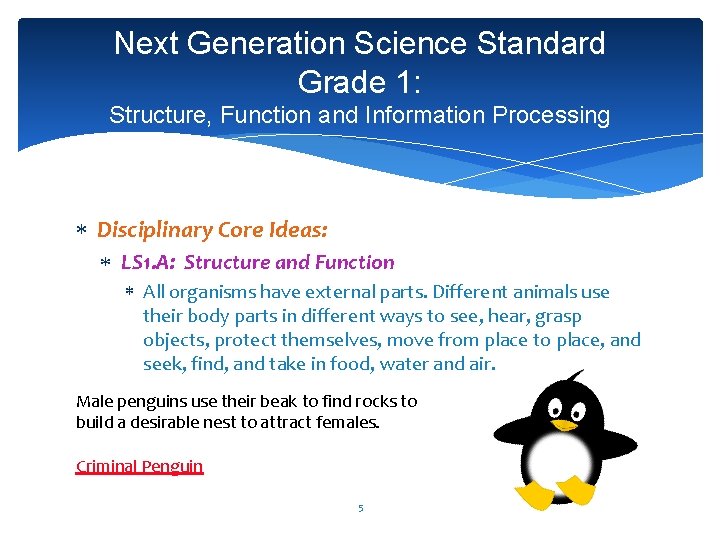 Next Generation Science Standard Grade 1: Structure, Function and Information Processing Disciplinary Core Ideas: