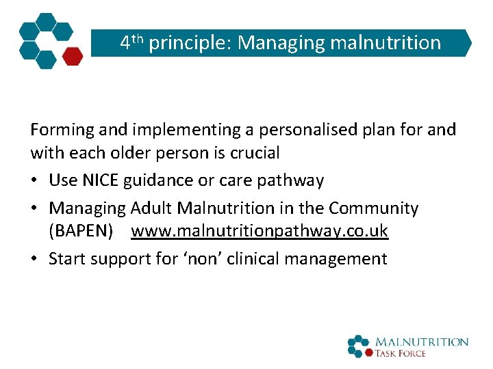 4 th principle: Managing malnutrition Forming and implementing a personalised plan for and with
