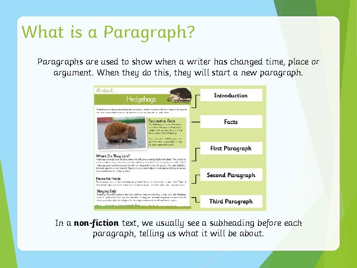 What is a Paragraph? Paragraphs are used to show when a writer has changed