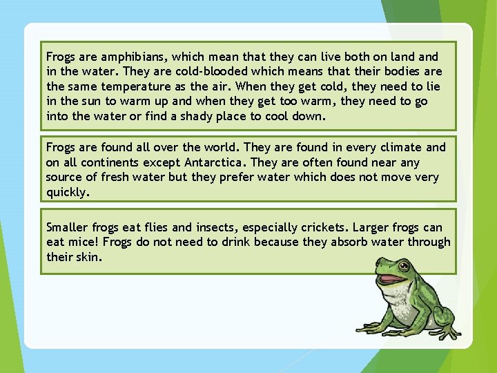 Frogs are amphibians, which mean that they can live both on land in the