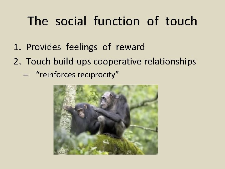The social function of touch 1. Provides feelings of reward 2. Touch build-ups cooperative