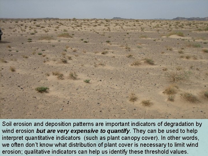 Soil erosion and deposition patterns are important indicators of degradation by wind erosion but