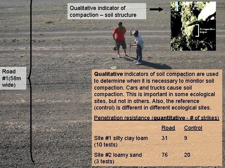 Qualitative indicator of compaction – soil structure Road #1(58 m wide) Qualitative indicators of