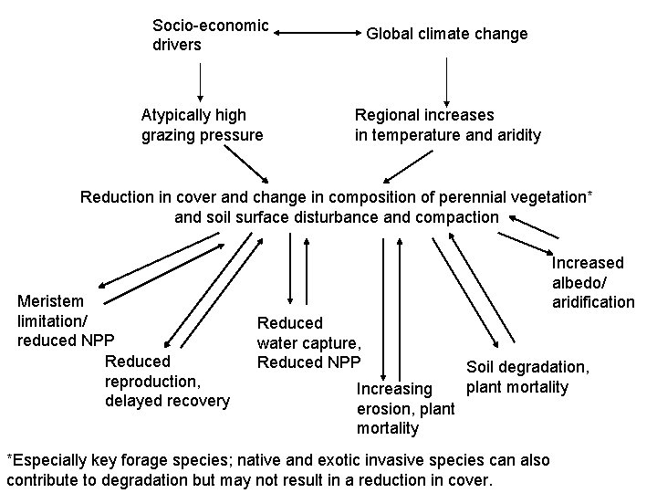 Socio-economic drivers Atypically high grazing pressure Global climate change Regional increases in temperature and