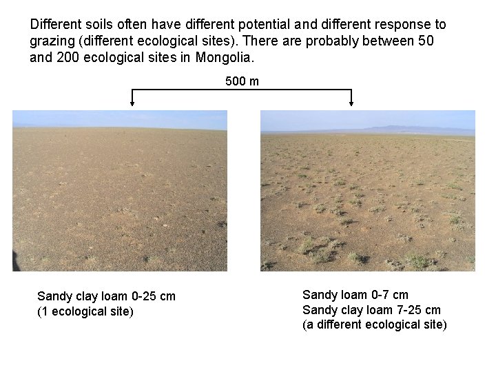 Different soils often have different potential and different response to grazing (different ecological sites).