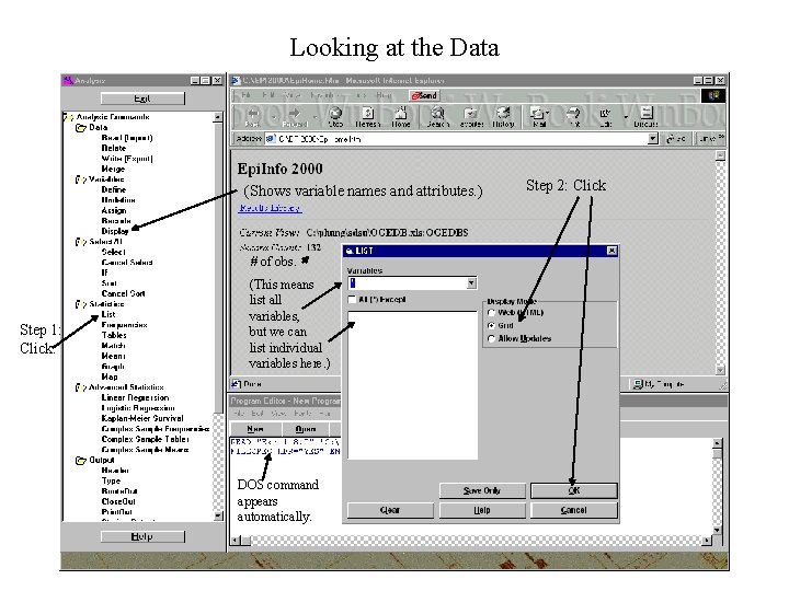 Looking at the Data (Shows variable names and attributes. ) # of obs. Step