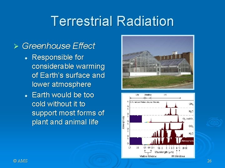 Terrestrial Radiation Ø Greenhouse Effect l l © AMS Responsible for considerable warming of