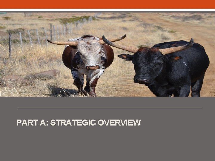 PART A: STRATEGIC OVERVIEW 