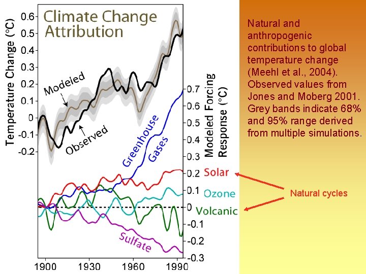 Natural and anthropogenic contributions to global temperature change (Meehl et al. , 2004). Observed