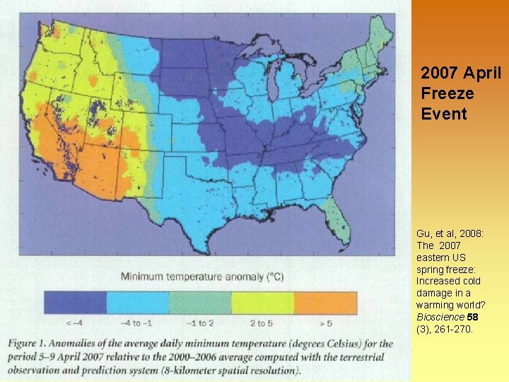 2007 April Freeze Event Gu, et al, 2008: The 2007 eastern US spring freeze: