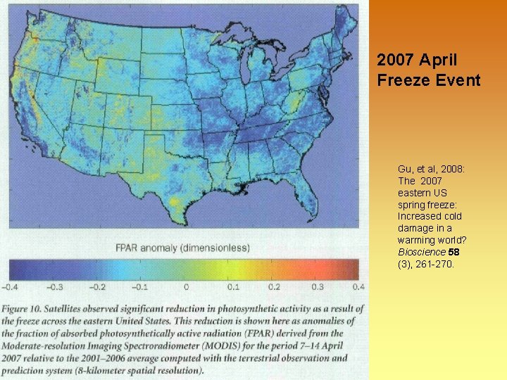 2007 April Freeze Event Gu, et al, 2008: The 2007 eastern US spring freeze:
