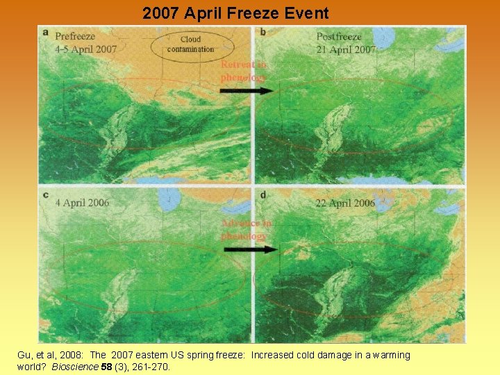 2007 April Freeze Event Gu, et al, 2008: The 2007 eastern US spring freeze: