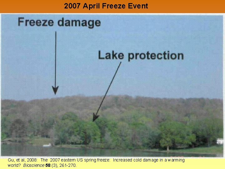 2007 April Freeze Event Gu, et al, 2008: The 2007 eastern US spring freeze: