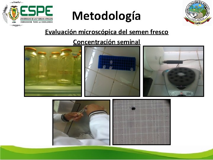 Metodología Evaluación microscópica del semen fresco Concentración seminal 