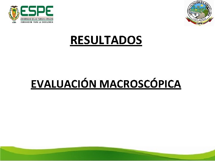 RESULTADOS EVALUACIÓN MACROSCÓPICA 