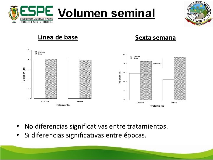 Volumen seminal Línea de base Sexta semana • No diferencias significativas entre tratamientos. •