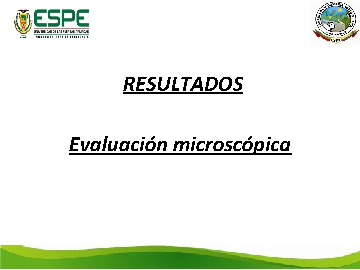 RESULTADOS Evaluación microscópica 