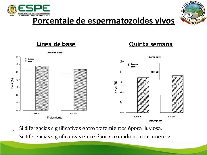 Porcentaje de espermatozoides vivos Línea de base Quinta semana . Si diferencias significativas entre