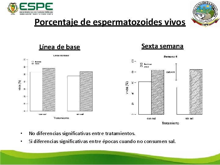 Porcentaje de espermatozoides vivos Línea de base Sexta semana • • No diferencias significativas