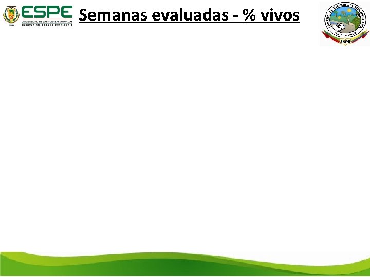 Semanas evaluadas - % vivos 