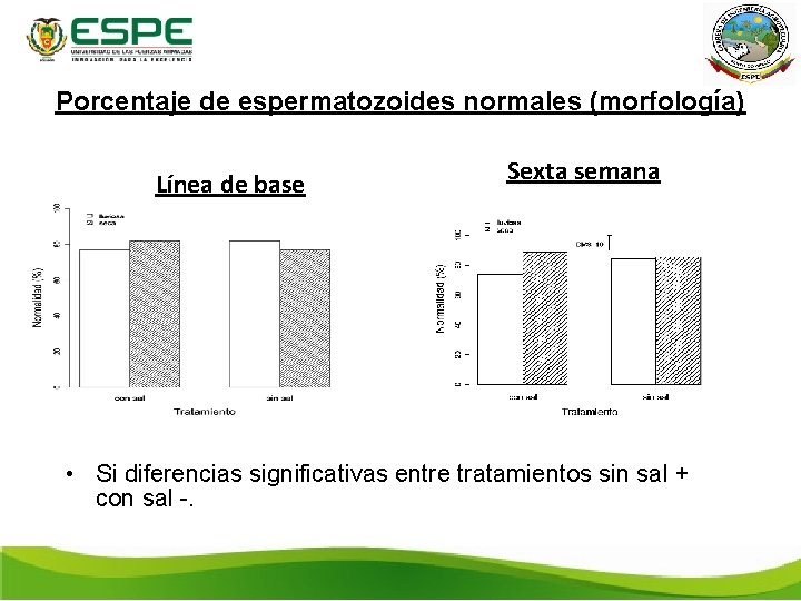 Porcentaje de espermatozoides normales (morfología) Línea de base Sexta semana • Si diferencias significativas