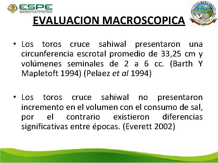 EVALUACION MACROSCOPICA • Los toros cruce sahiwal presentaron una circunferencia escrotal promedio de 33,