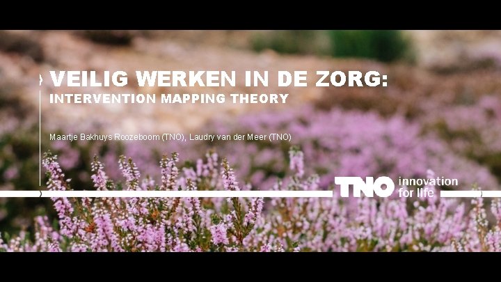 VEILIG WERKEN IN DE ZORG: INTERVENTION MAPPING THEORY Maartje Bakhuys Roozeboom (TNO), Laudry van