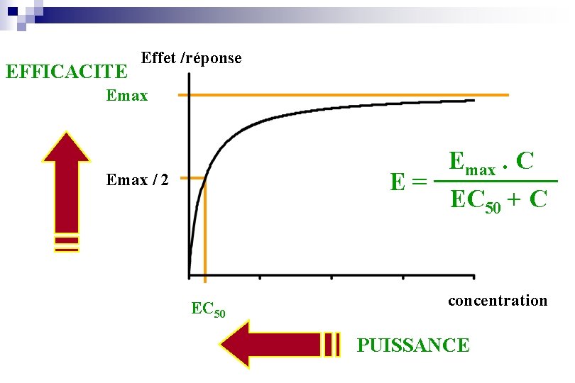 EFFICACITE Effet /réponse Emax. C E= EC 50 + C Emax / 2 EC