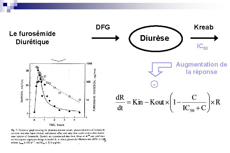 Le furosémide Diurétique DFG Kreab Diurèse IC 50 Augmentation de la réponse - 