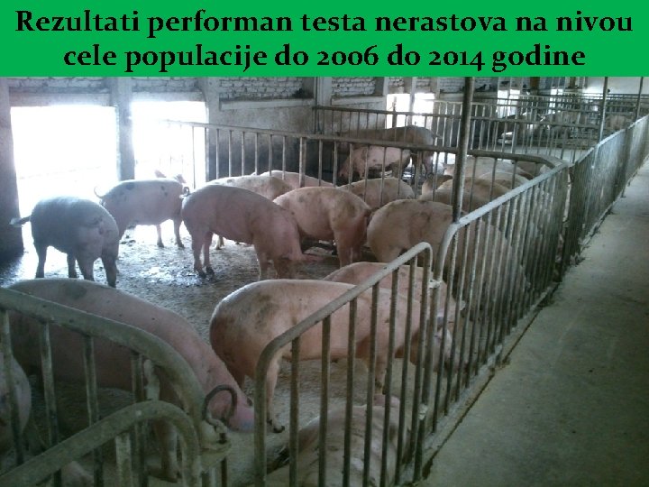 Rezultati performan testa nerastova na nivou cele populacije do 2006 do 2014 godine 