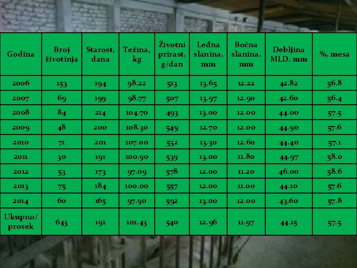 Godina Broj Starost, životinja dana Životni Leđna Težina, prirast, slanina, kg g/dan mm Bočna