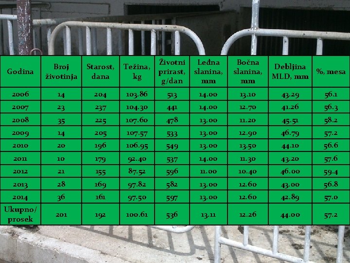 Godina Broj životinja Starost, dana Težina, kg Životni prirast, g/dan Leđna slanina, mm Bočna