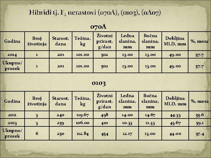 Hibridi tj. F₁ nerastovi (070 A), (0103), (0 A 07) 070 A Godina Broj