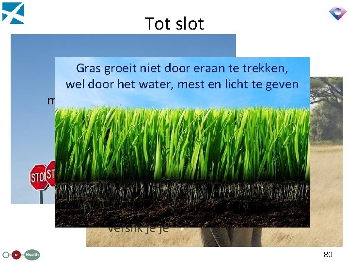 Tot slot Er zijn 10 niet redenen Grasaltijd groeit door eraan te trekken, om