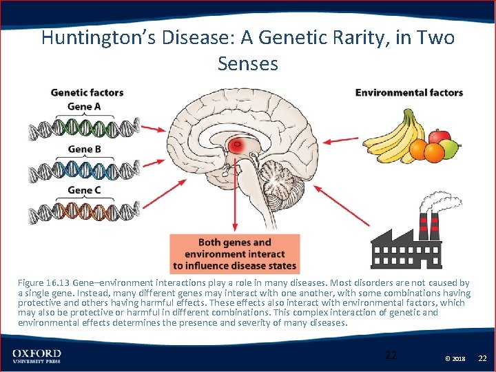 Huntington’s Disease: A Genetic Rarity, in Two Senses Figure 16. 13 Gene–environment interactions play