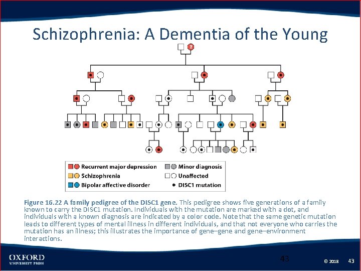 Schizophrenia: A Dementia of the Young Figure 16. 22 A family pedigree of the