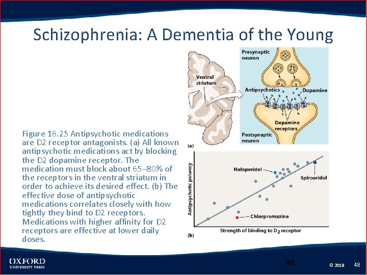 Schizophrenia: A Dementia of the Young Figure 16. 25 Antipsychotic medications are D 2