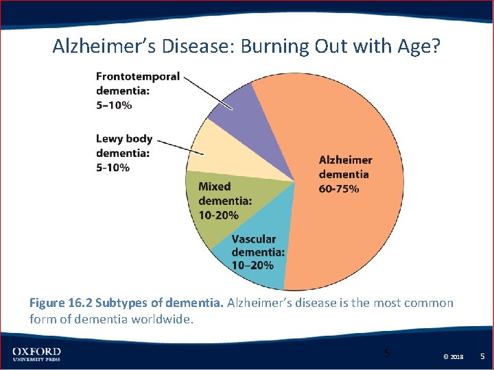 Alzheimer’s Disease: Burning Out with Age? Figure 16. 2 Subtypes of dementia. Alzheimer’s disease