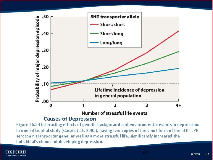 Causes of Depression Figure 16. 34 Interacting effects of genetic background and environmental events